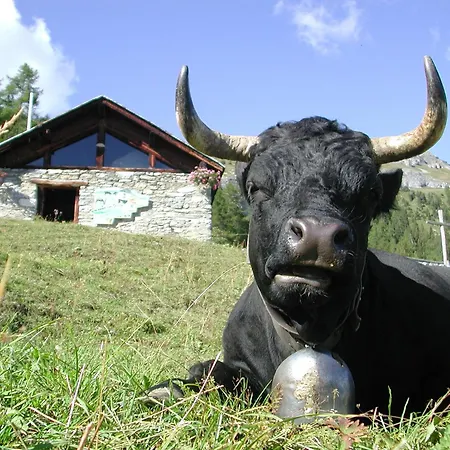 Guarda Golf & Residences 호텔 5*