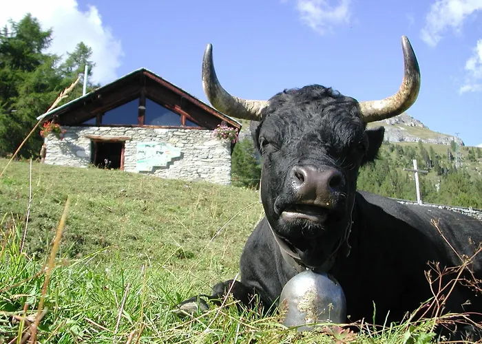 瓜尔达高尔夫酒店及公寓 酒店 5*